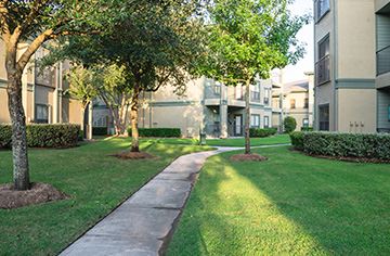 Commercial Pest Control