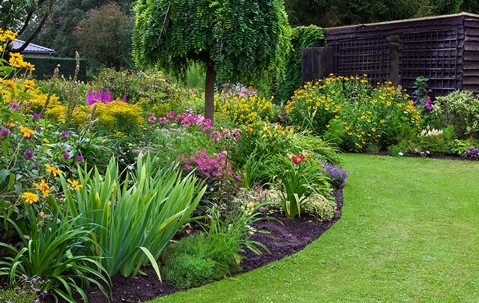 manicured lawn and flowers in a garden