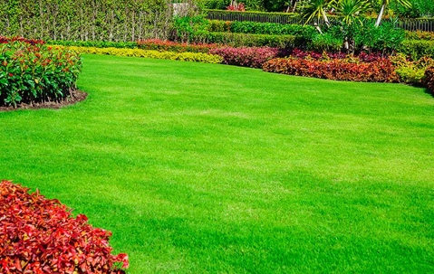 a nice manicured lawn